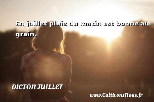 Proverbes et dictons du mois de juillet