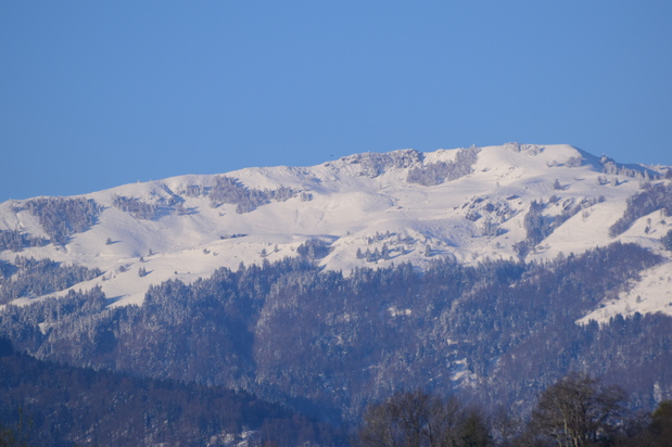 Regard sur le blanc.