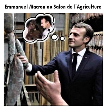 Macron au salon agricole