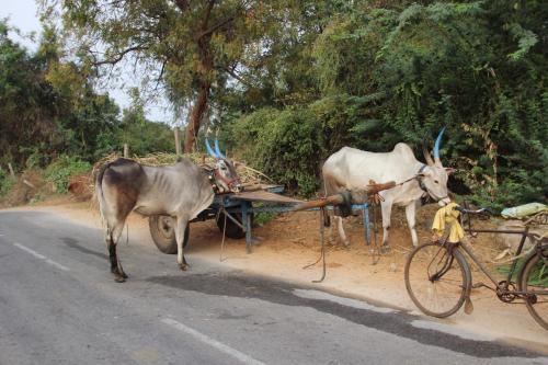 Entre Hospet et Hampi (Karnataka)