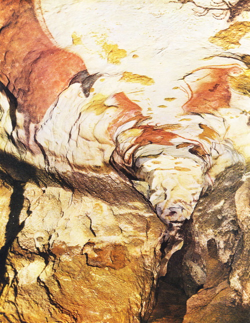 Photos des gravures préhistoriques de la grotte de Lascaux 