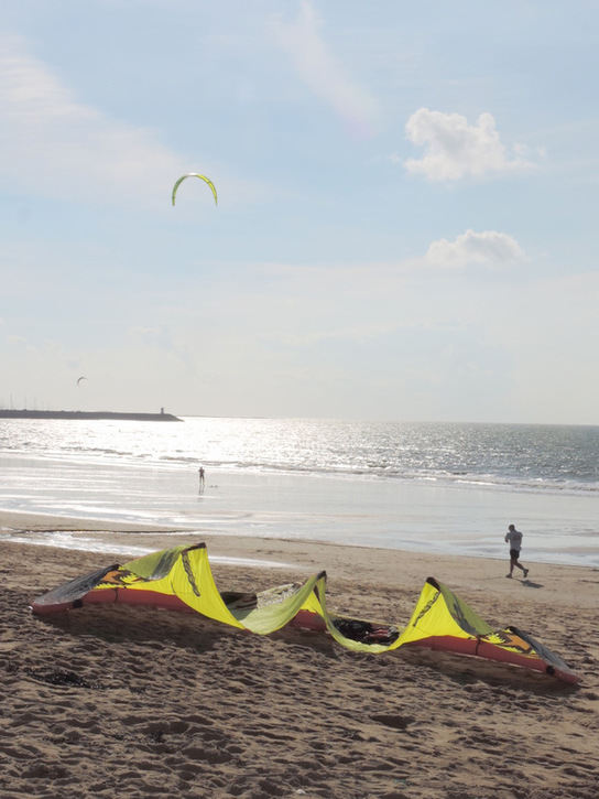 Sur la plage ce matin...