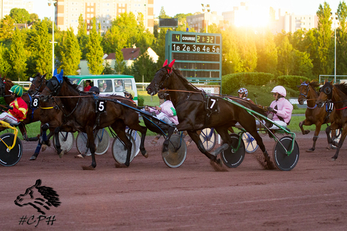 PRIX DU CREDIT AGRICOLE BRIE PICARDIE