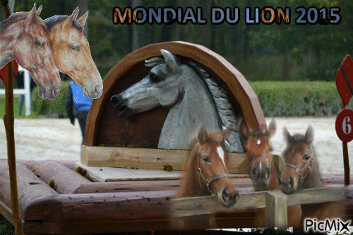 Mondial du LION 2015