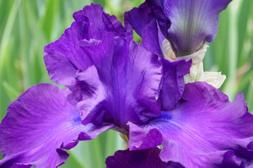 Le cartoscope du mardi 25 juillet 2023