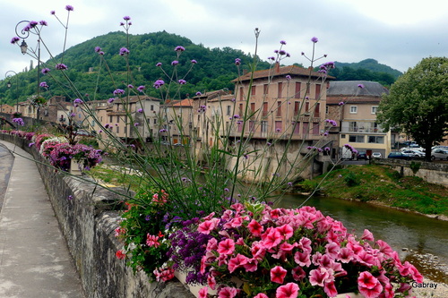 Saint Affrique 12 : pont et fleurs ...