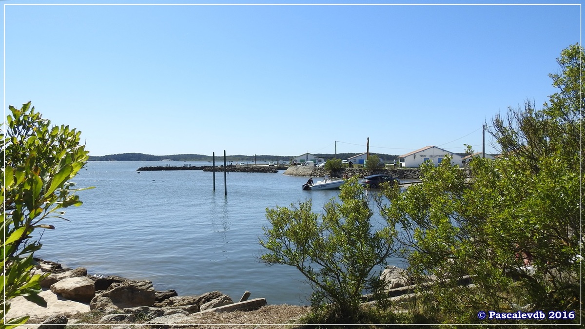 Pointe de Saint Brice et prés salés d'Arès - Mai 2016 - 3/9