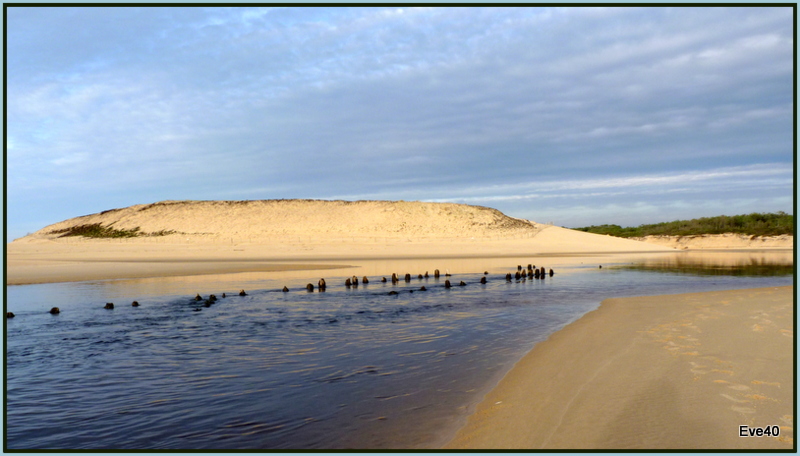 L4embouchure du courant d'Huchet.(Landes)