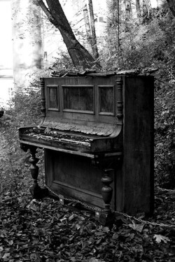 Le piano dans les bois