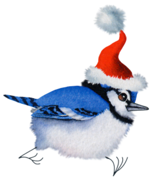 Oiseaux de Noël 2019
