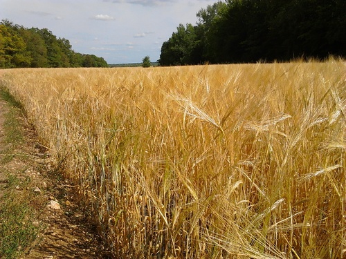 "Puits de l'Ermitage" - Samedi 25 juillet 2020