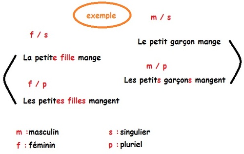 Les adjectifs qualificatifs 