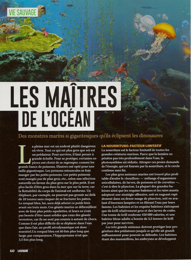 Les Habitants de l'Océan:  Les maîtres de l'Océan (2 pages)