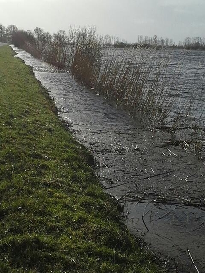 Marais de Brière