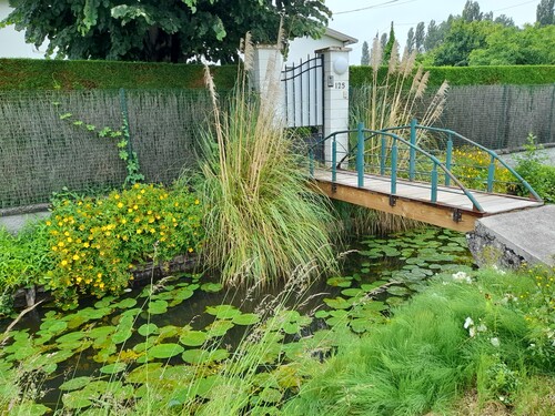 Les hortillonages à Amiens