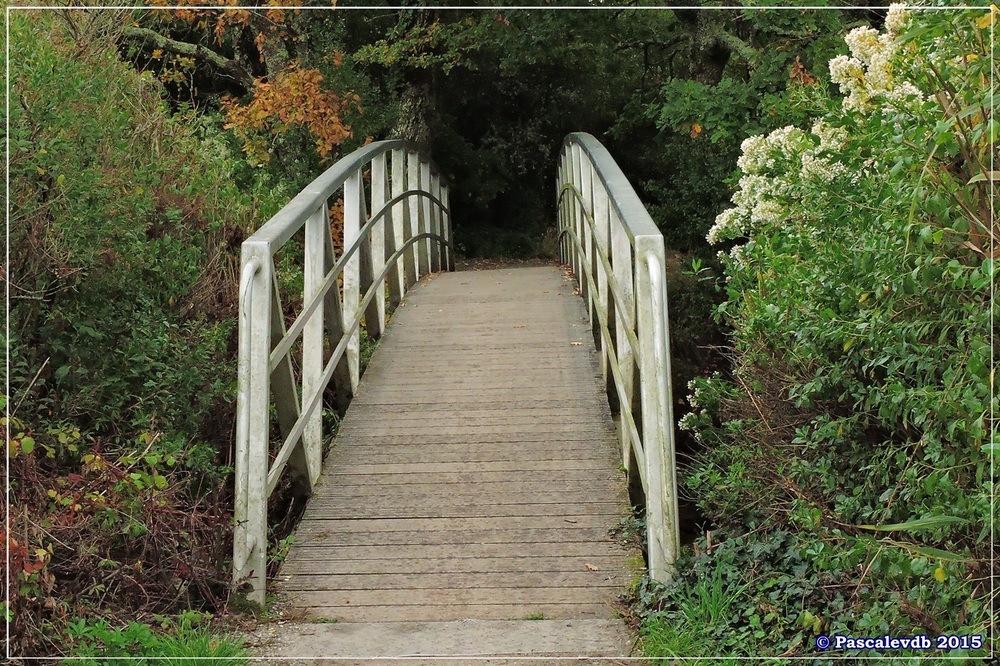 Tour du domaine de Certes - Octobre 2015 - 1/10