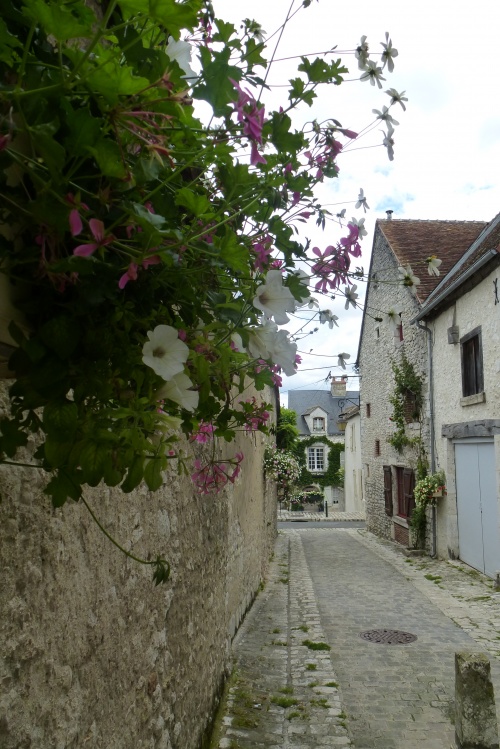  VISITE DE BEAUGENCY EN PHOTOS ......