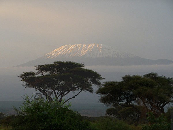 Kilimajaro matin