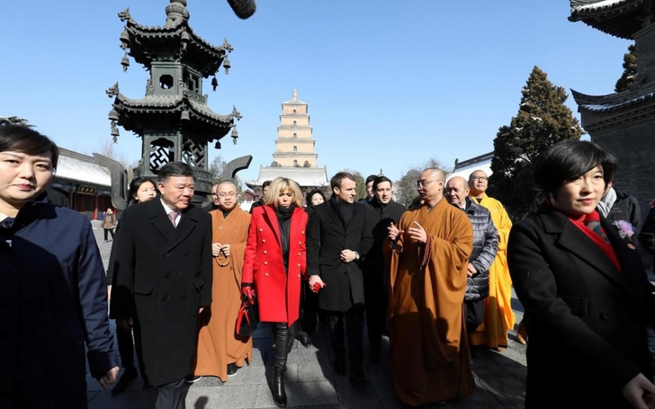 Qui est «Vésuve de Brekka», le cheval offert par Emmanuel Macron à Xi Jinping ? 