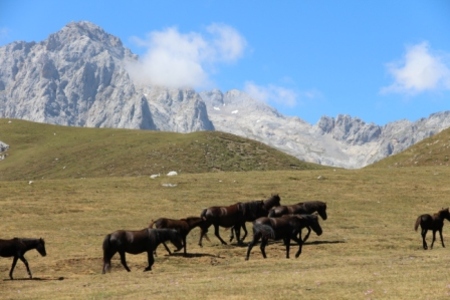 Costa Verde: Cantabrie - Asturies & Picos de Europa