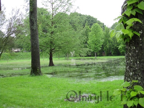 La Seine et Marne sous les eaux - Situation à Provins