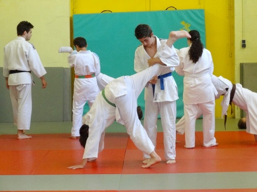 Les judokas