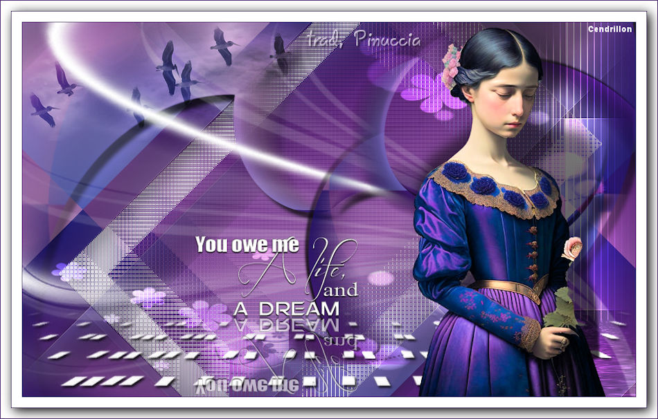 You owe me a dream - PSP Arena - Huzunlu - Traduction Maidiregrafica