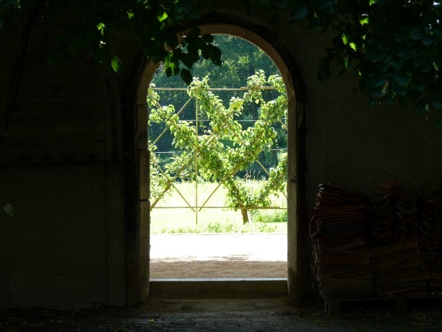 2 Château de Pange 49 Marc de Metz 12 08 2011