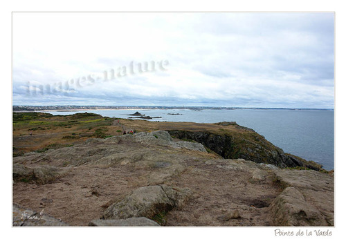 paysages du vignoble