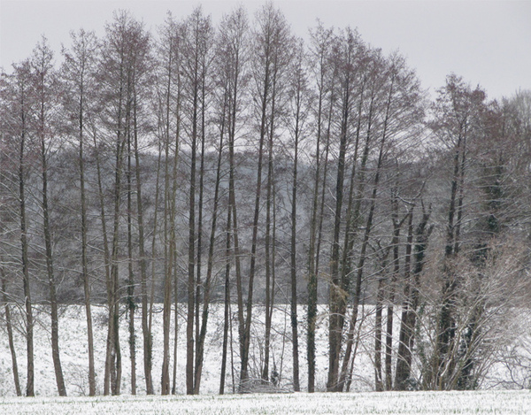 Clichés du village entre neige et dégel