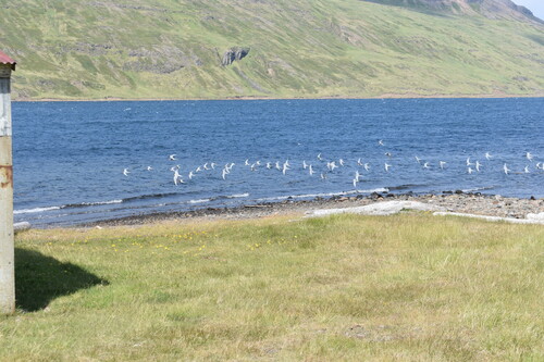 De Laugarhóll à Urðartindur (Nordurfjördur)