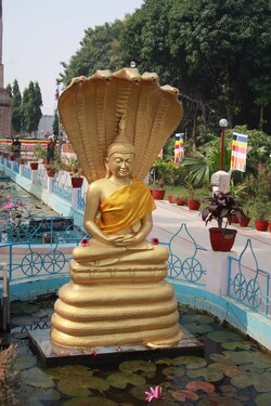 Douzième jour (2) : Sarnath, le berceau du bouddhisme
