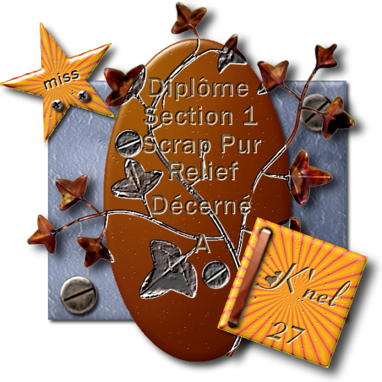 "Diplôme de fin de section 1"