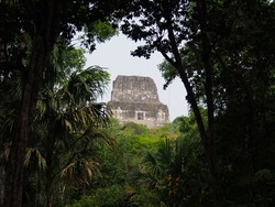 Le temple IV