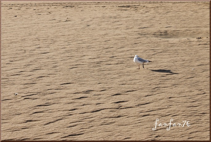                                                                                                         Jolie plage de sable