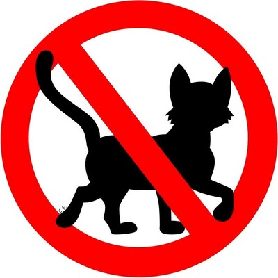 Perméthrine : danger de mort pour les chats