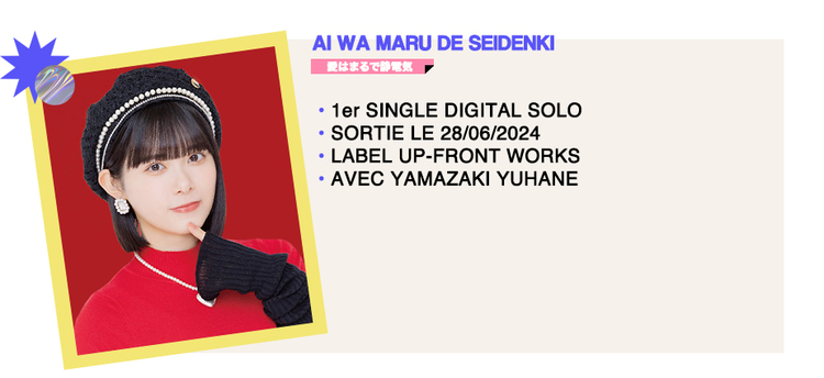 AI WA MARU DE SEIDENKI