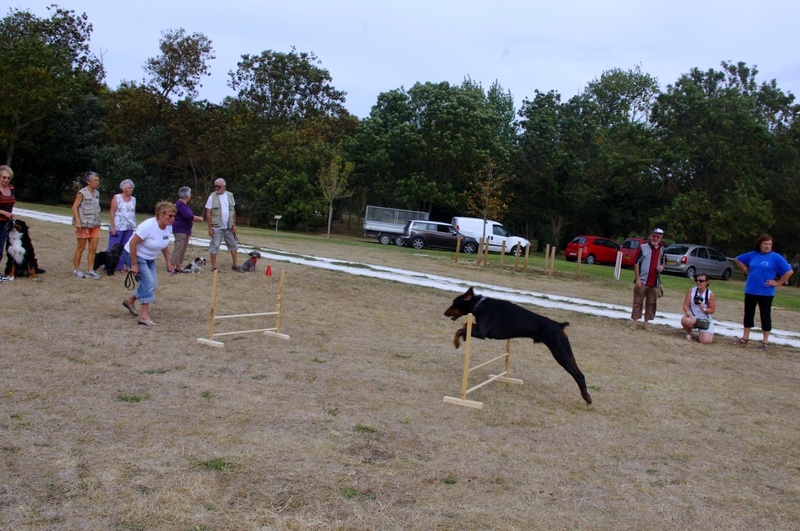 Le forum des associations u 23 septembre 2012 à St Georges d'Oléron