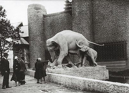 Éléphant de Georges GARDET