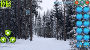 Jouer à Winter wondeland forest adventure