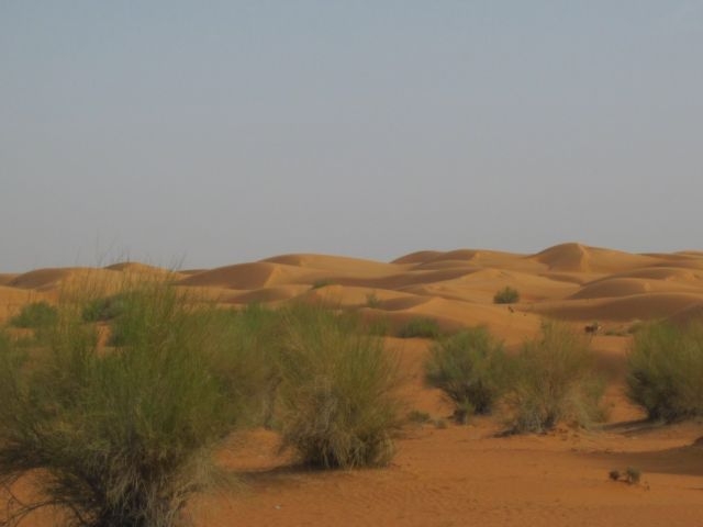 Mauritanie Route de l\'Espoir 3