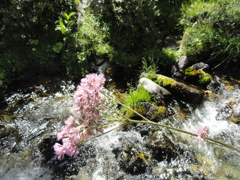 Bivouac (2 nuits) : coll de Nou Fonts (Conflent) - 66