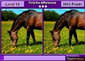 Find the differences - Horses