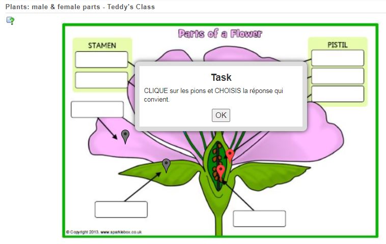 CE2SC - Parts of Plants: reproduction / pollination