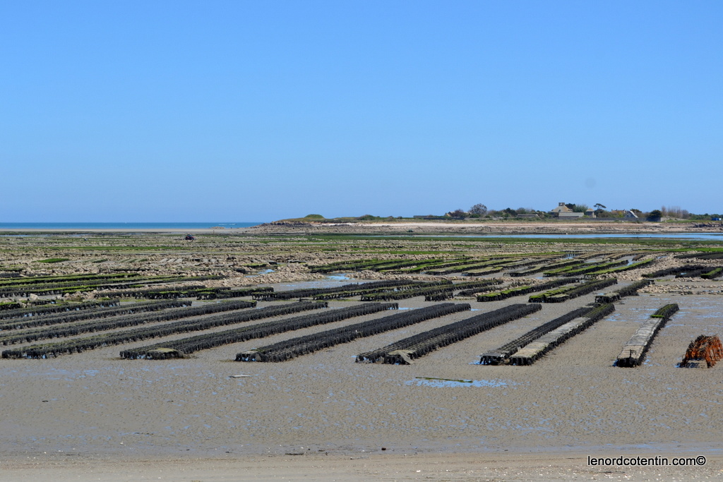 Saint Vaast La Hougue