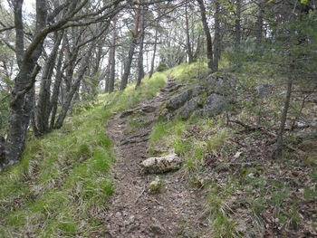 Le sentier sur la crête