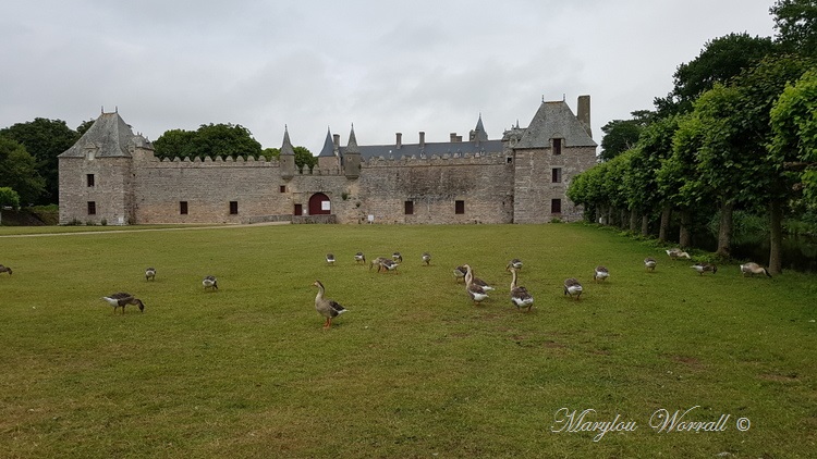 Bretagne : Château de Bienassis 2/2