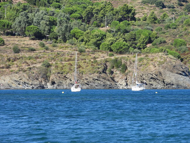 Anse de Paulille