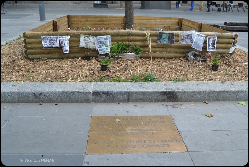 6 Janvier 2016 : Plantation du Chêne du Souvenir ... 