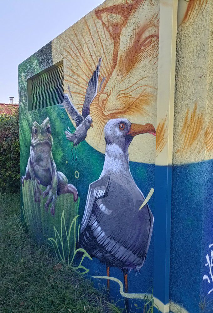 Street-art dans la ville : grenouille, mouette, goéland, rapace et renard...